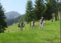 Bild Biken