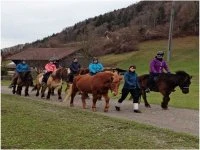 Bild Reithof Neckertal