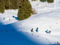 Bild Schneeschuhlaufen Bild Schneeschuhlaufen