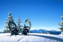 bild Schneeschuh